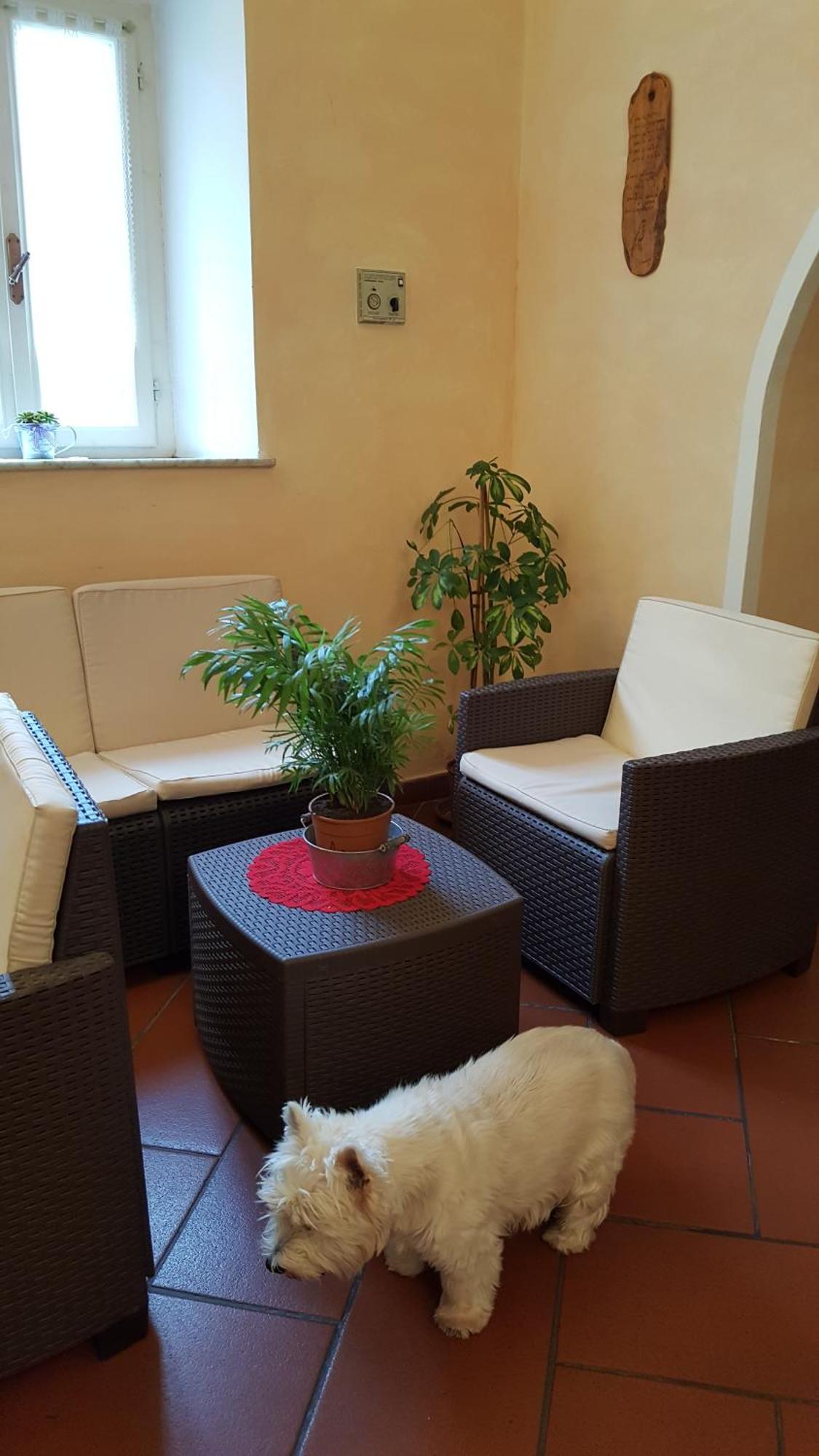 Hotel Bambolo Castagneto Carducci Bagian luar foto
